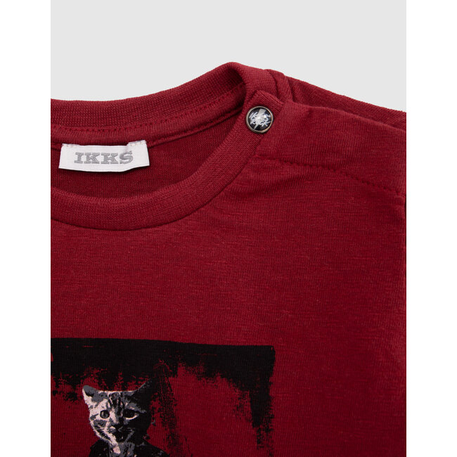 IKKS Baby boy burgundy visual t-shirt cat rocker