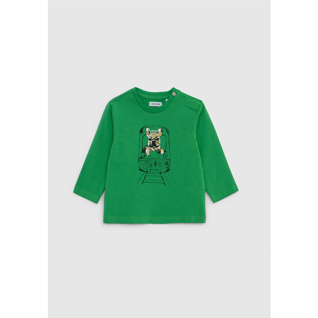 IKKS Green T-shirt organic cotton visual dog-metro baby boy