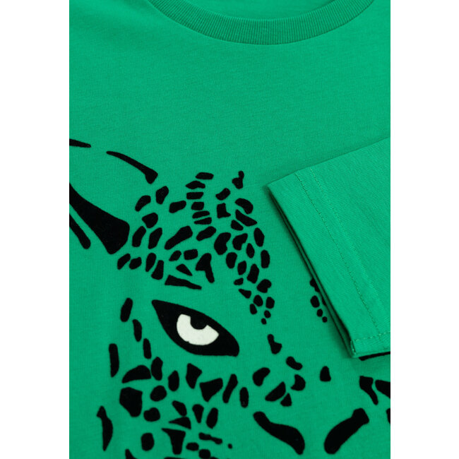 IKKS Boy's green organic cotton glowing leopard eyes T-shirt