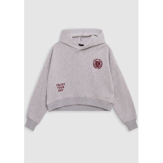 IKKS Girl's grey hoodie with XL number embroidery and print
