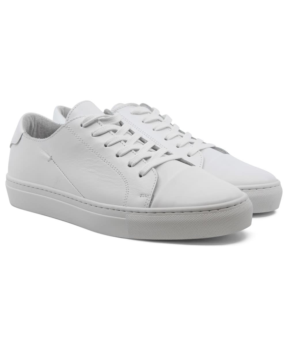 low cut trainers