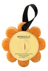 SPONGELLE SG WILD FLOWER HONEY BLOSSOM 3OZ