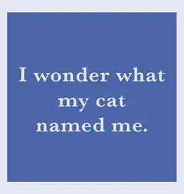 IAMTRA/DRINKS ON ME ID CAT NAMED ME COASTER