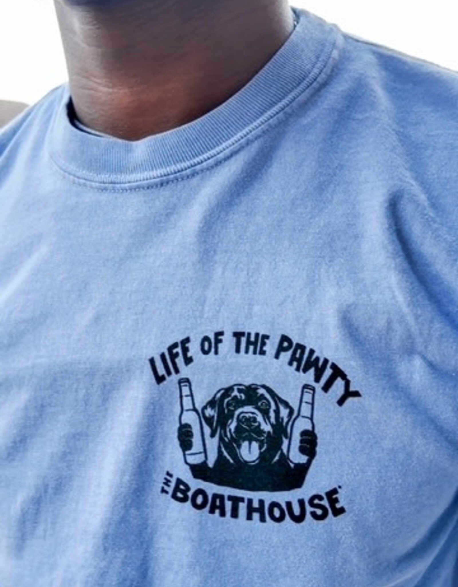 API Source LIFE OF THE PAWTY TEE