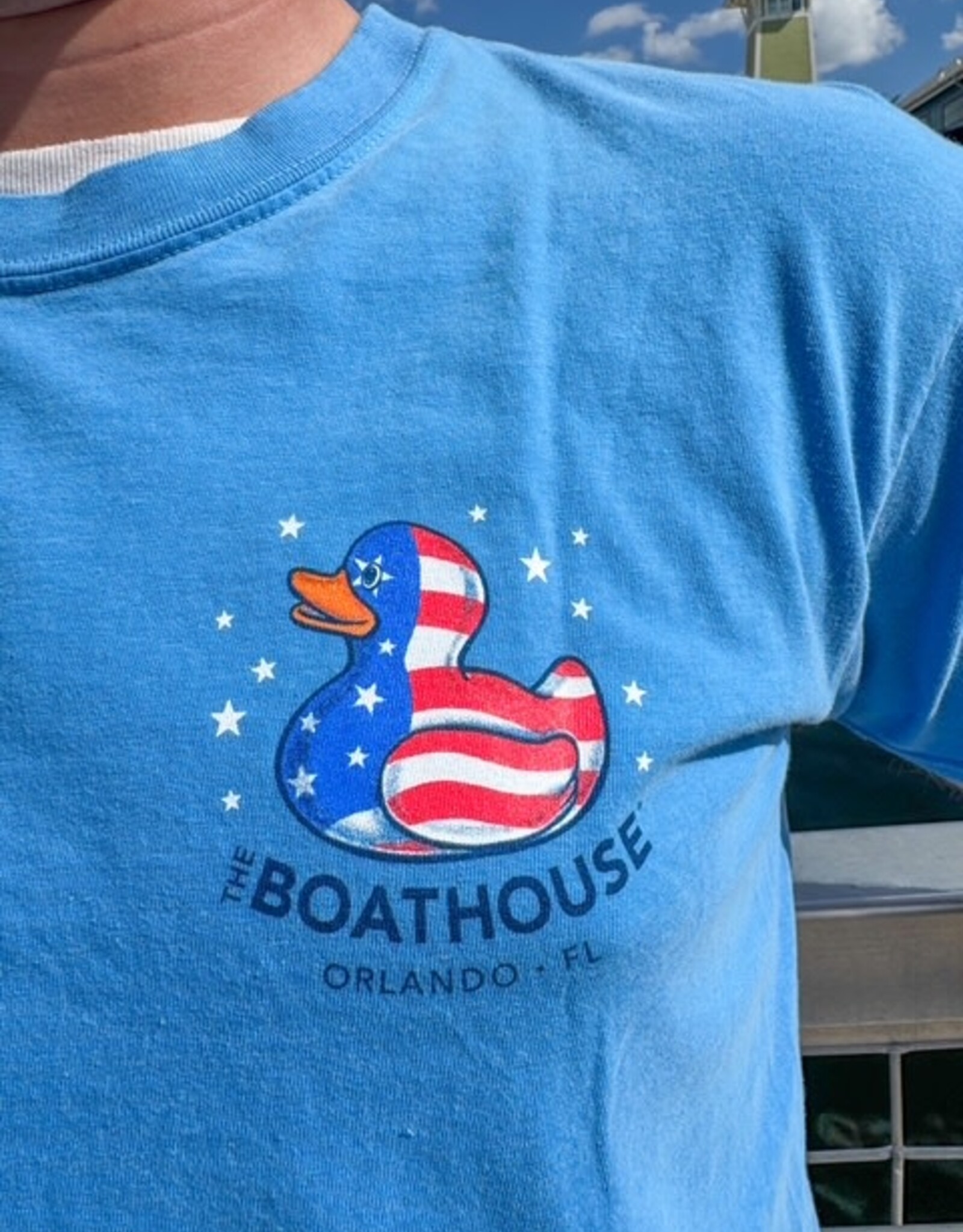 API Source FLAG DUCKS TEE