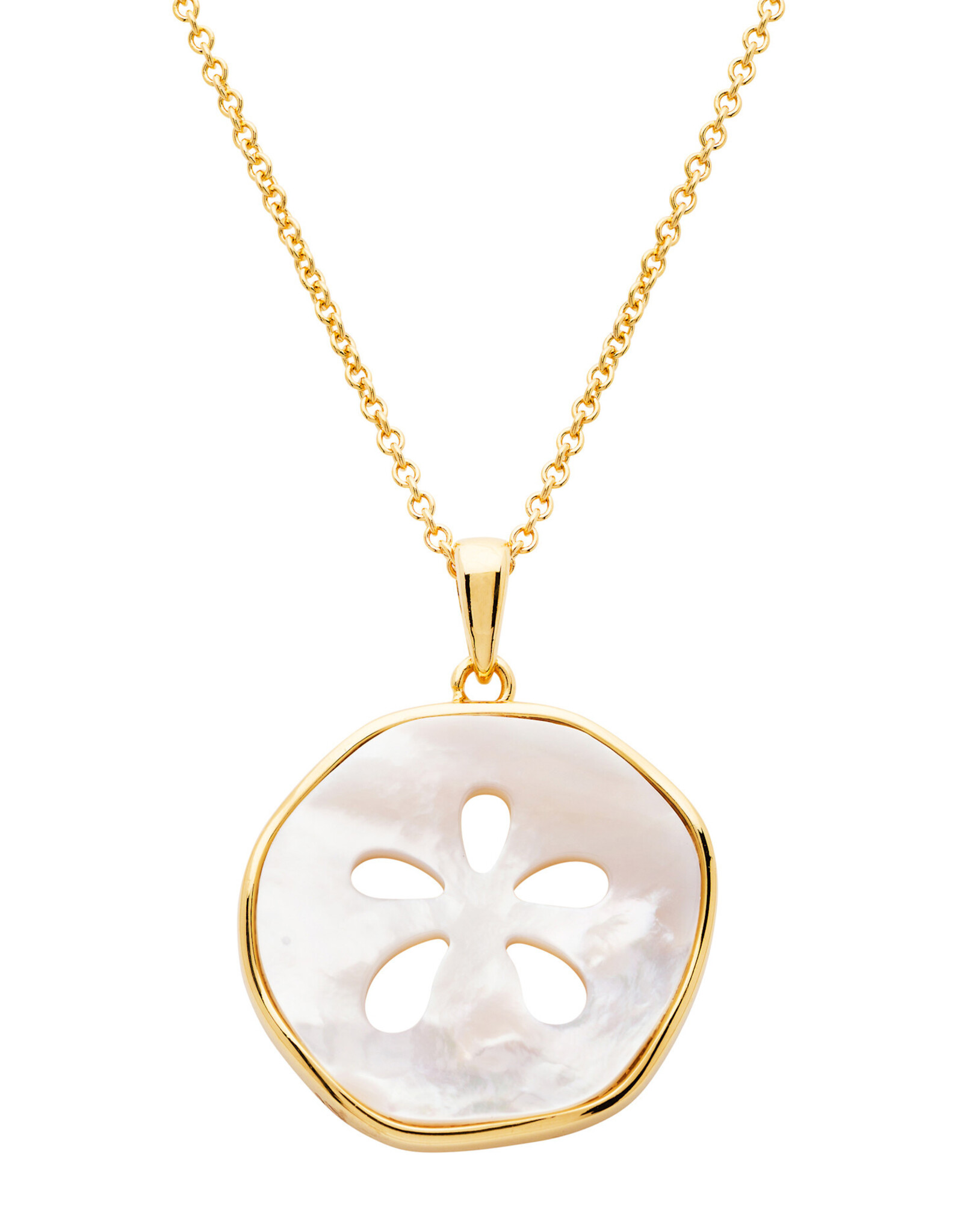 FLAIRCRAFT LIMITED SAND DOLLAR NECKLACE 14KT GOLD