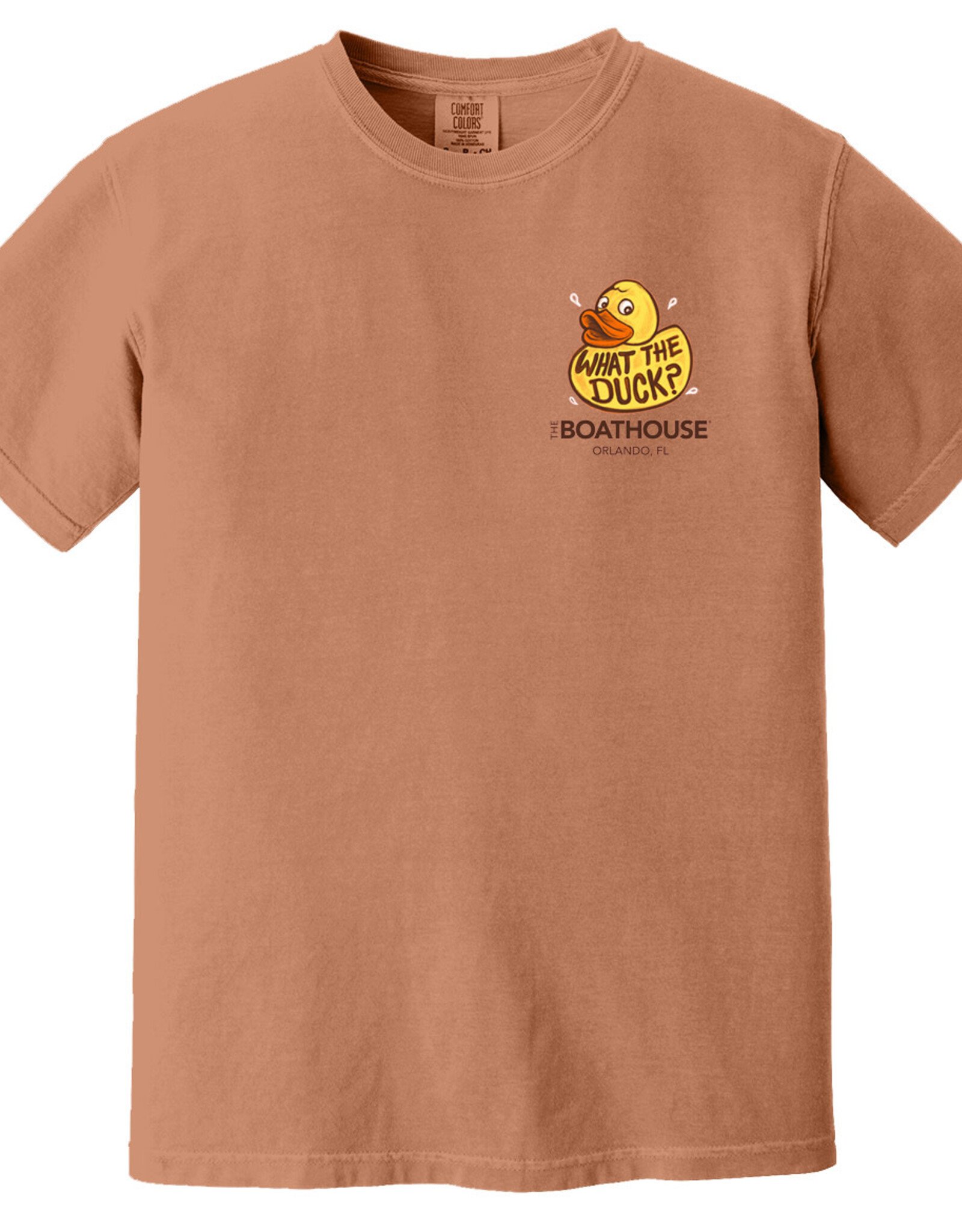 API Source WHAT THE DUCK TEE