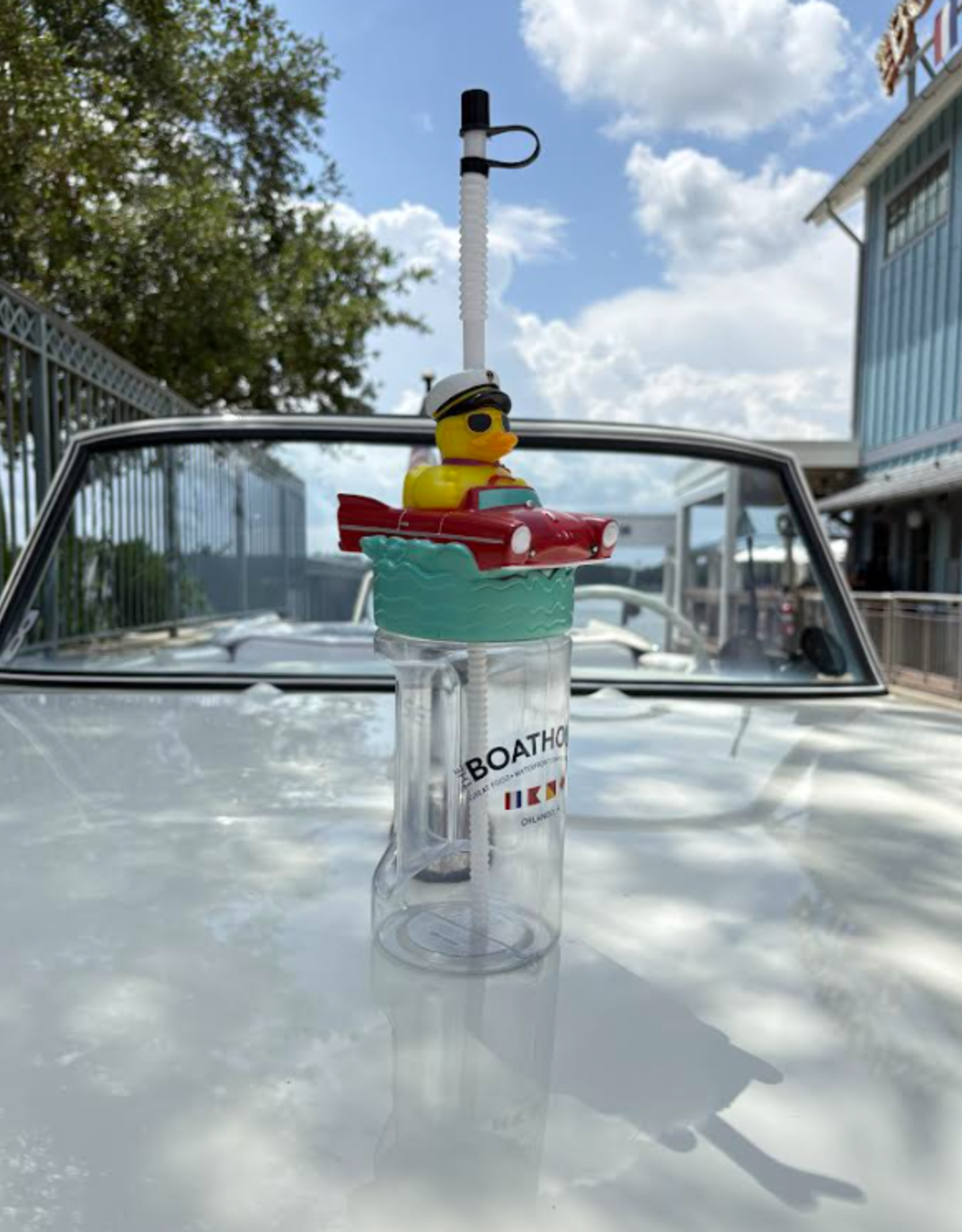AMPHIDUCK CUP