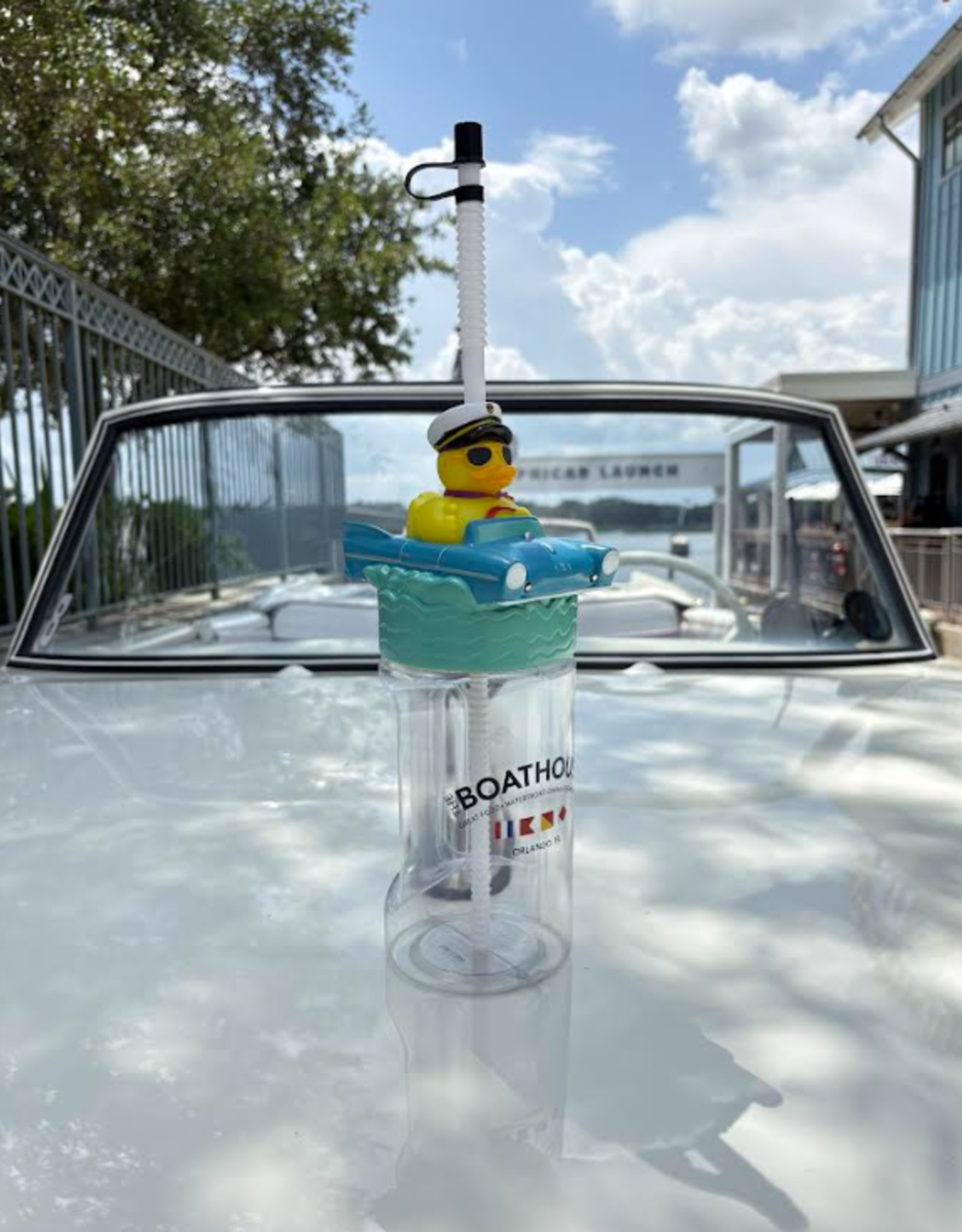 AMPHIDUCK CUP
