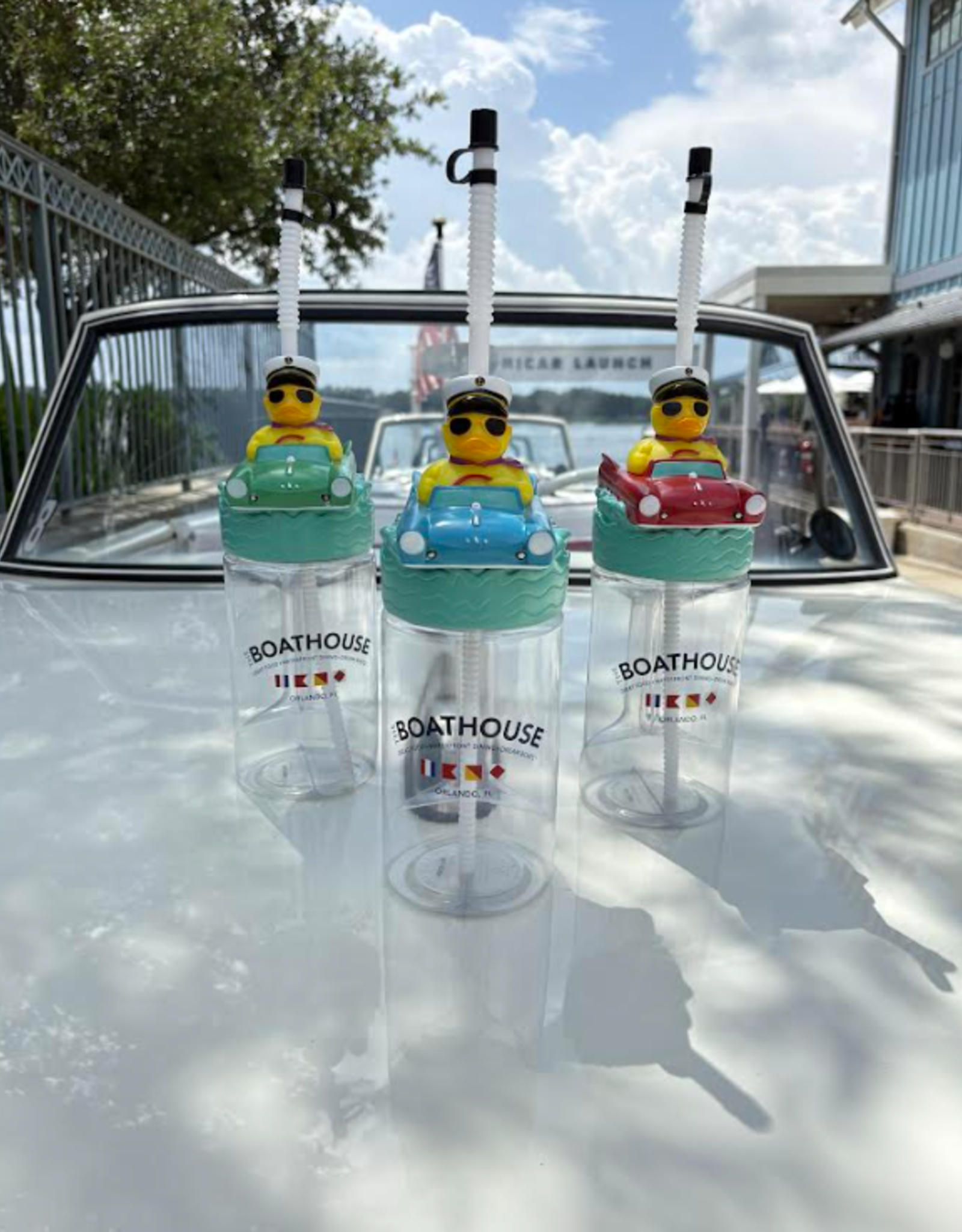 AMPHIDUCK CUP