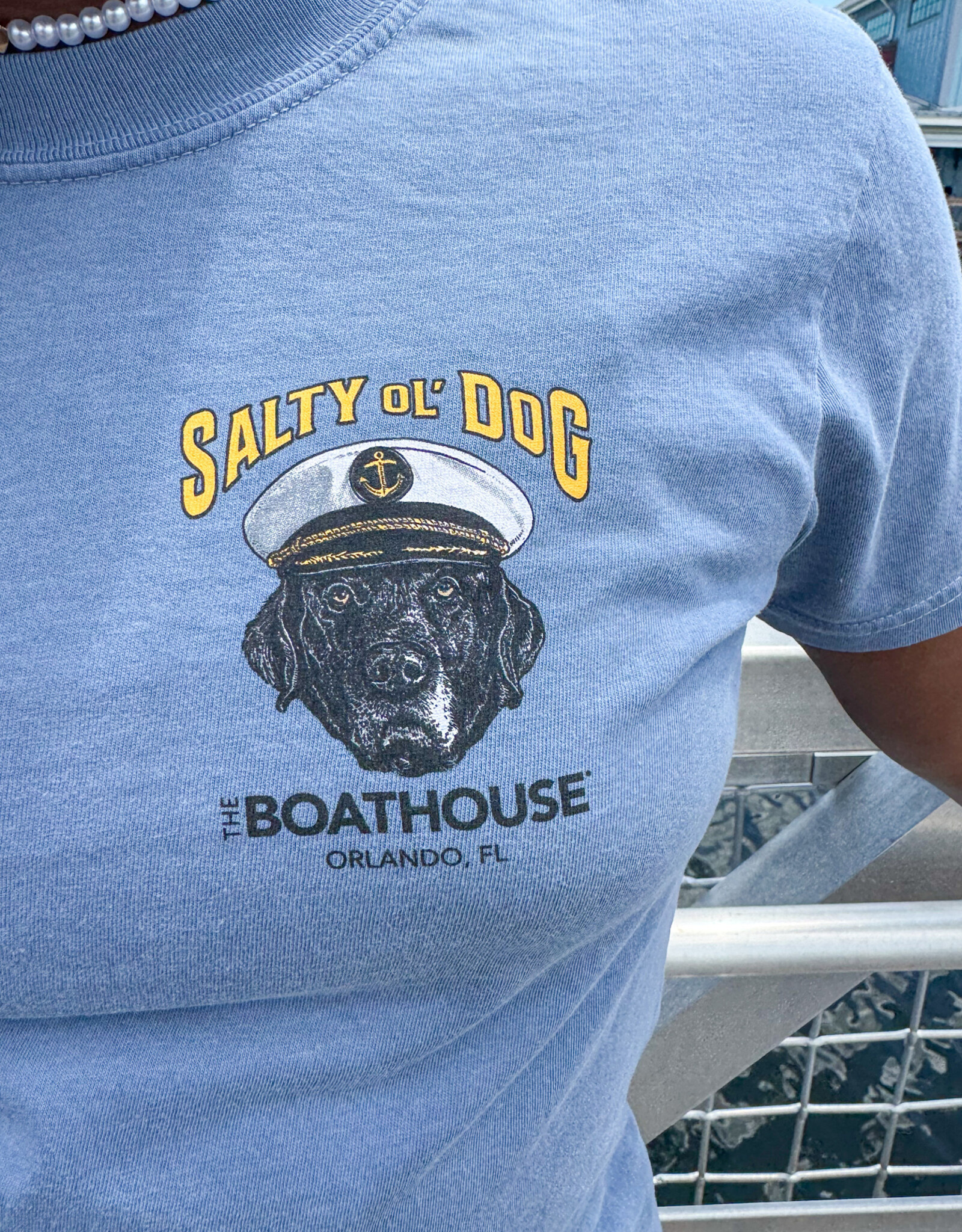 API Source SALTY DOG TEE