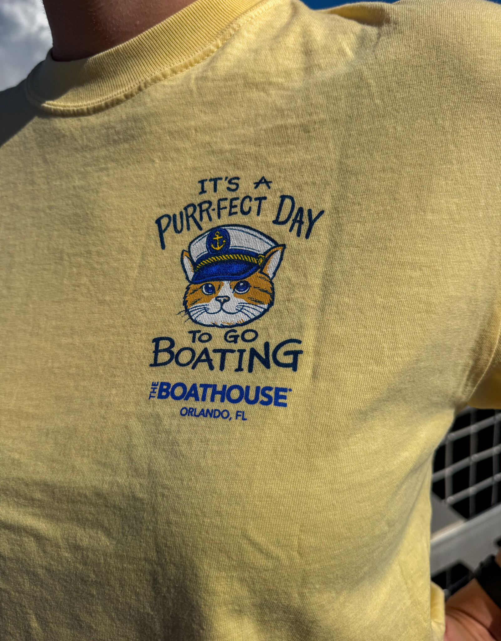 API Source PURRFECT DAY TEE