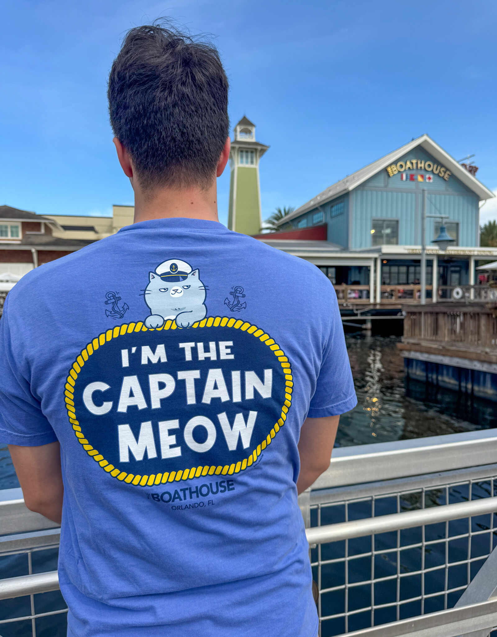 API Source I'M THE CAPTAIN MEOW TEE