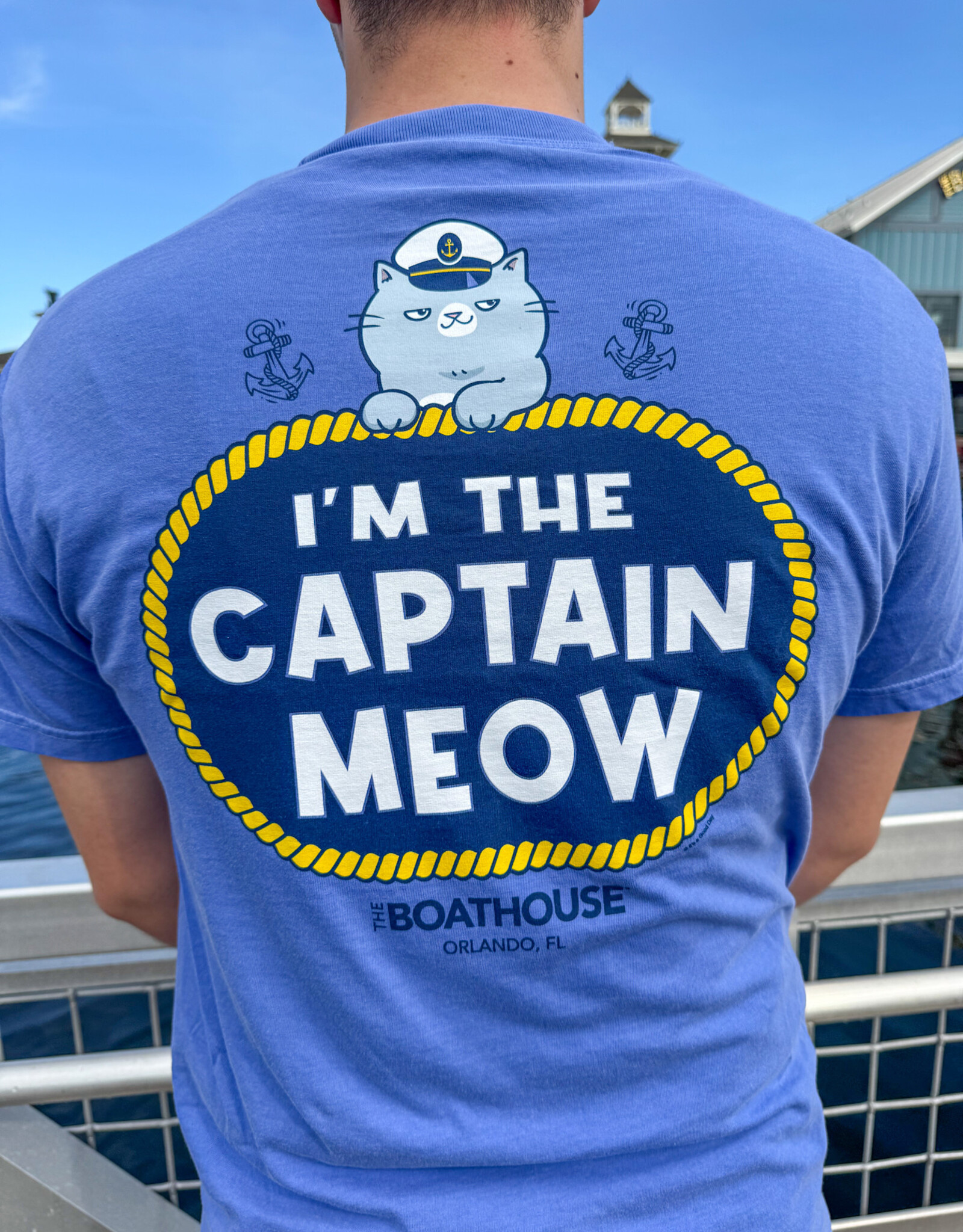 API Source I'M THE CAPTAIN MEOW TEE