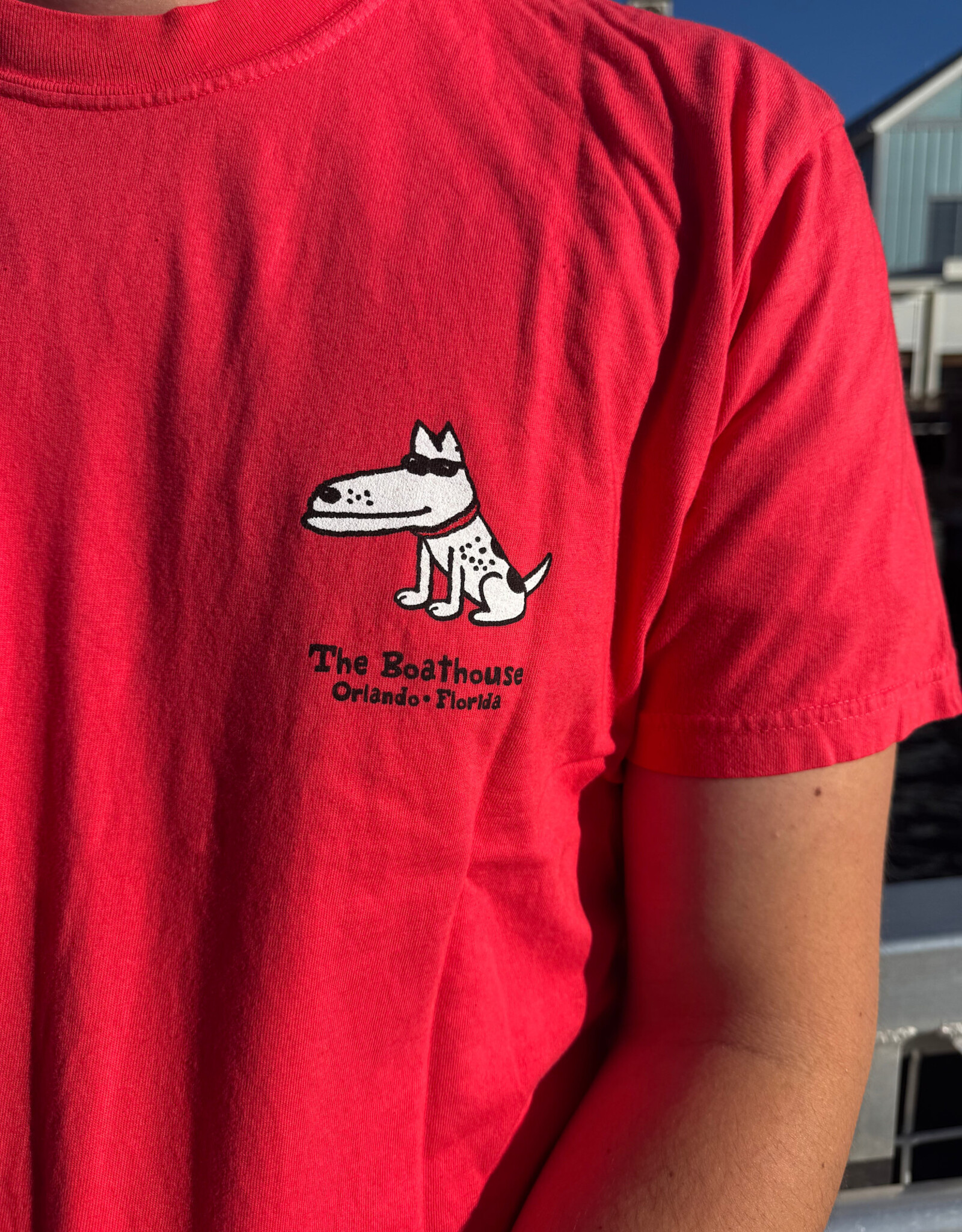 BIG HED CAPTAIN DOG TEE