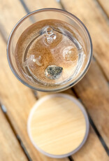 DEVONIAN COAST LAKE LIFE SINGLE WICK GEL CANDLE 6oz