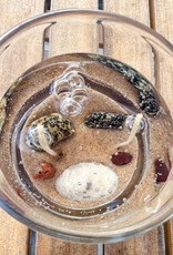 DEVONIAN COAST LAKE HURON DOUBLE WICK GEL CANDLE 8OZ