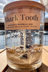 DEVONIAN COAST SHARK TOOTH GEL CANDLE 6OZ