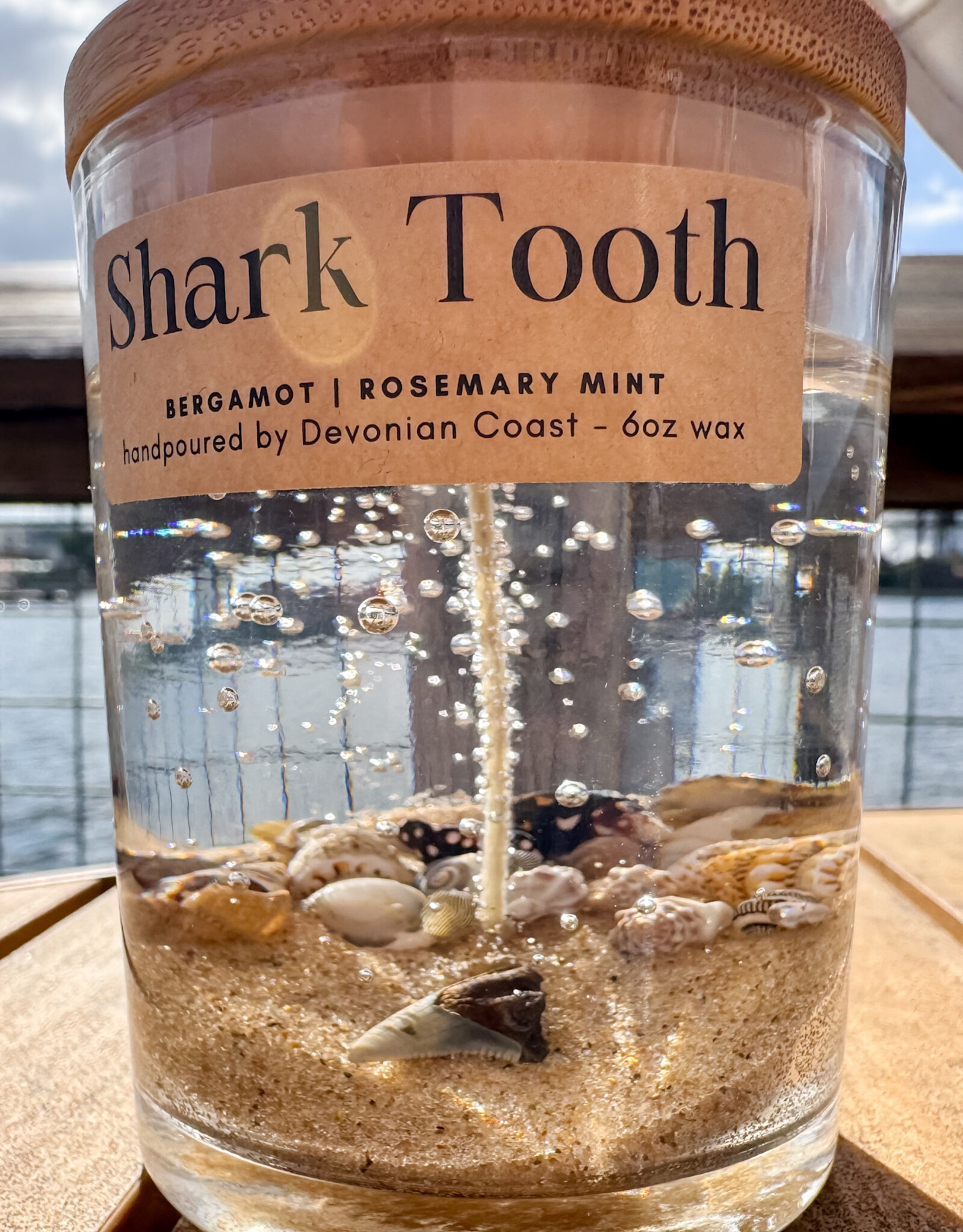 DEVONIAN COAST SHARK TOOTH GEL CANDLE 6OZ