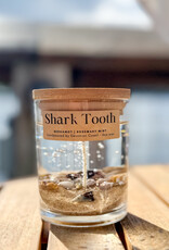 DEVONIAN COAST SHARK TOOTH GEL CANDLE 6OZ