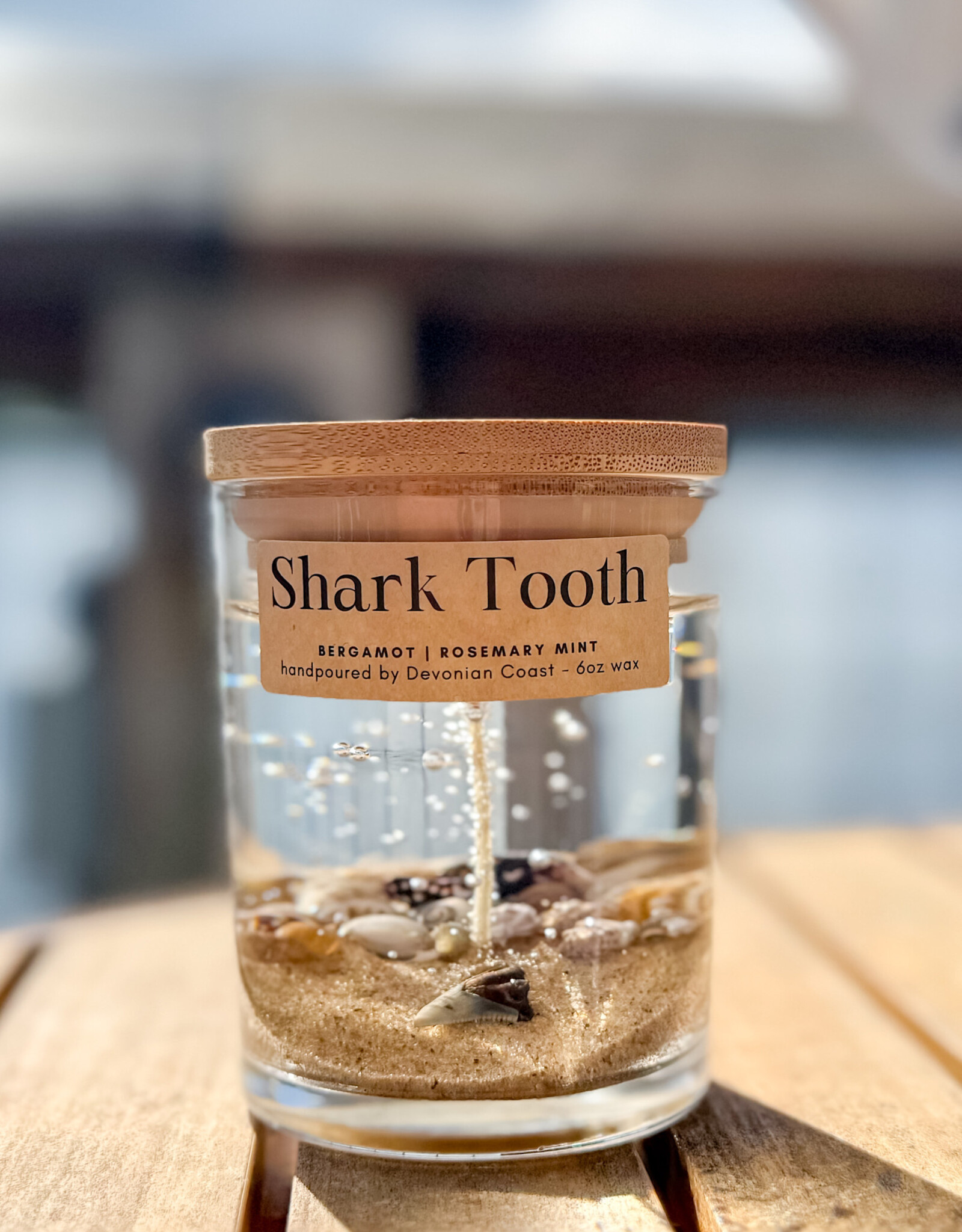 DEVONIAN COAST SHARK TOOTH GEL CANDLE 6OZ