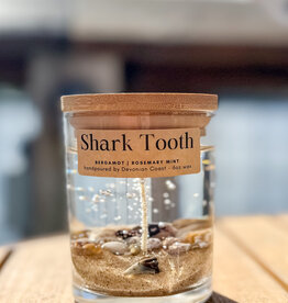 DEVONIAN COAST SHARK TOOTH GEL CANDLE 6OZ