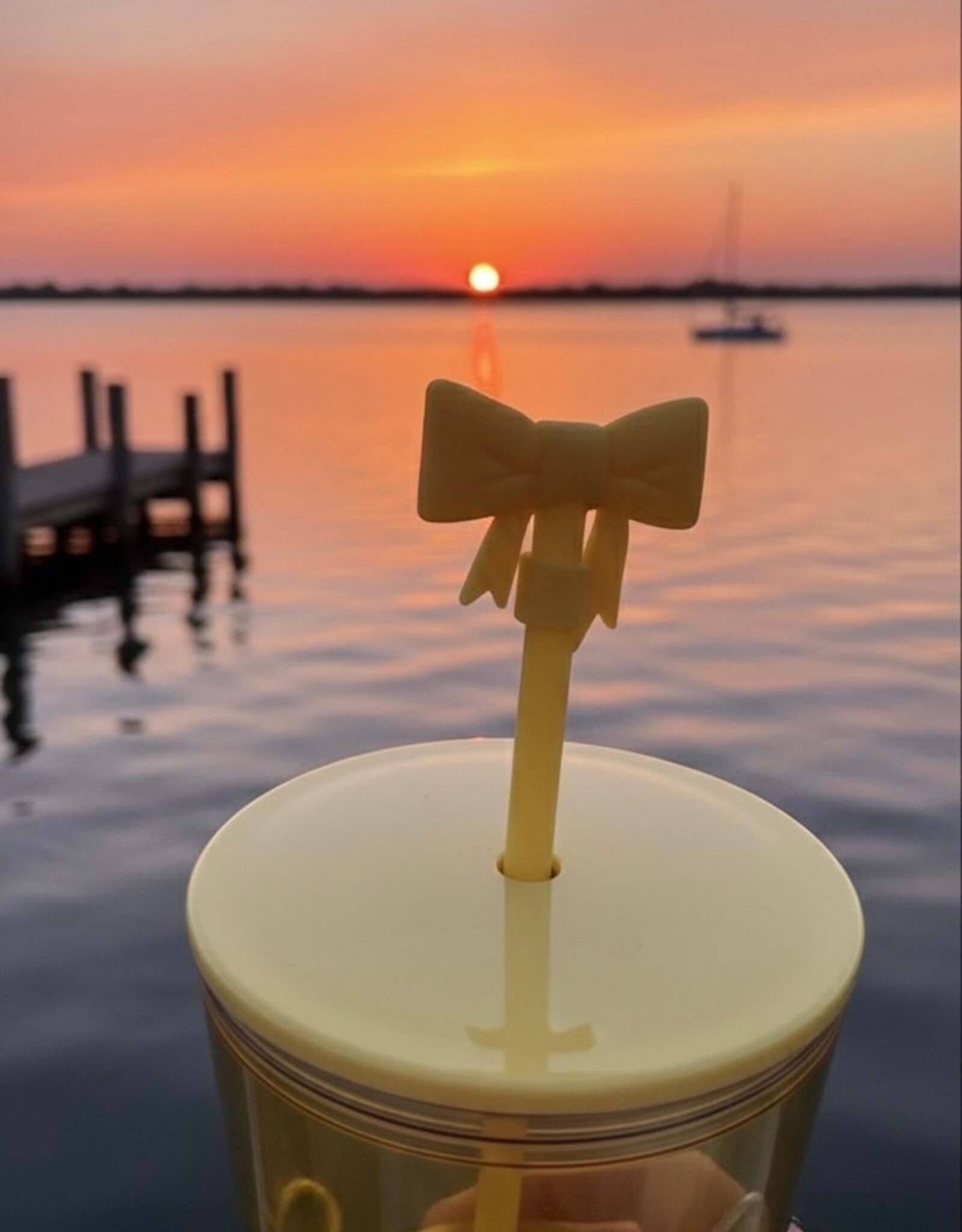 CHICK PLASTIC TUMBLER 24OZ