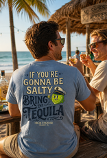 API Source BH SALTY TEQUILLA LIME