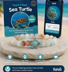 FAHLO FAHLO  JOURNEY BRACELET TURTLE SKY STONE