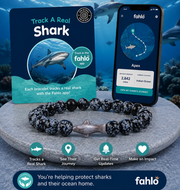 FAHLO FAHLO  THE VOYAGE BRACELET SHARK OCELLI STONE