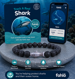 FAHLO FAHLO THE VOYAGE BRACELET SHARK LAVA STONE