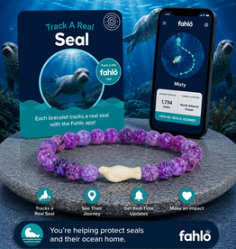 FAHLO FAHLO  ODYSSEY DOLPHIN BRACELET CORAL REEF VIOLET