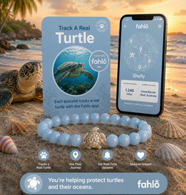 FAHLO FAHLO  JOURNEY TURTLE BRACELET AQUA