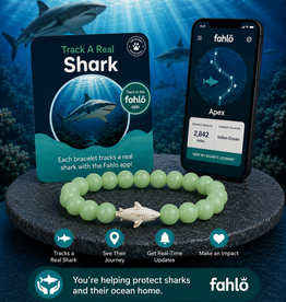 FAHLO FAHLO  VOYAGE SHARK  BRACELET SAGE GLOW