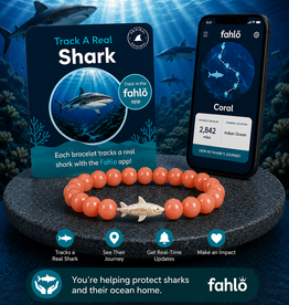 FAHLO FAHLO VOYAGE SHARK BRACELET SUNRISE GLOW