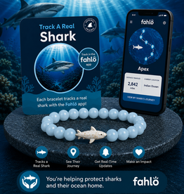 FAHLO FAHLO VOYAGE SHARK BRACELET AQUA GLOW