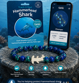 FAHLO FAHLO HAMMERHEAD SHARK WEEK DEEP SEA