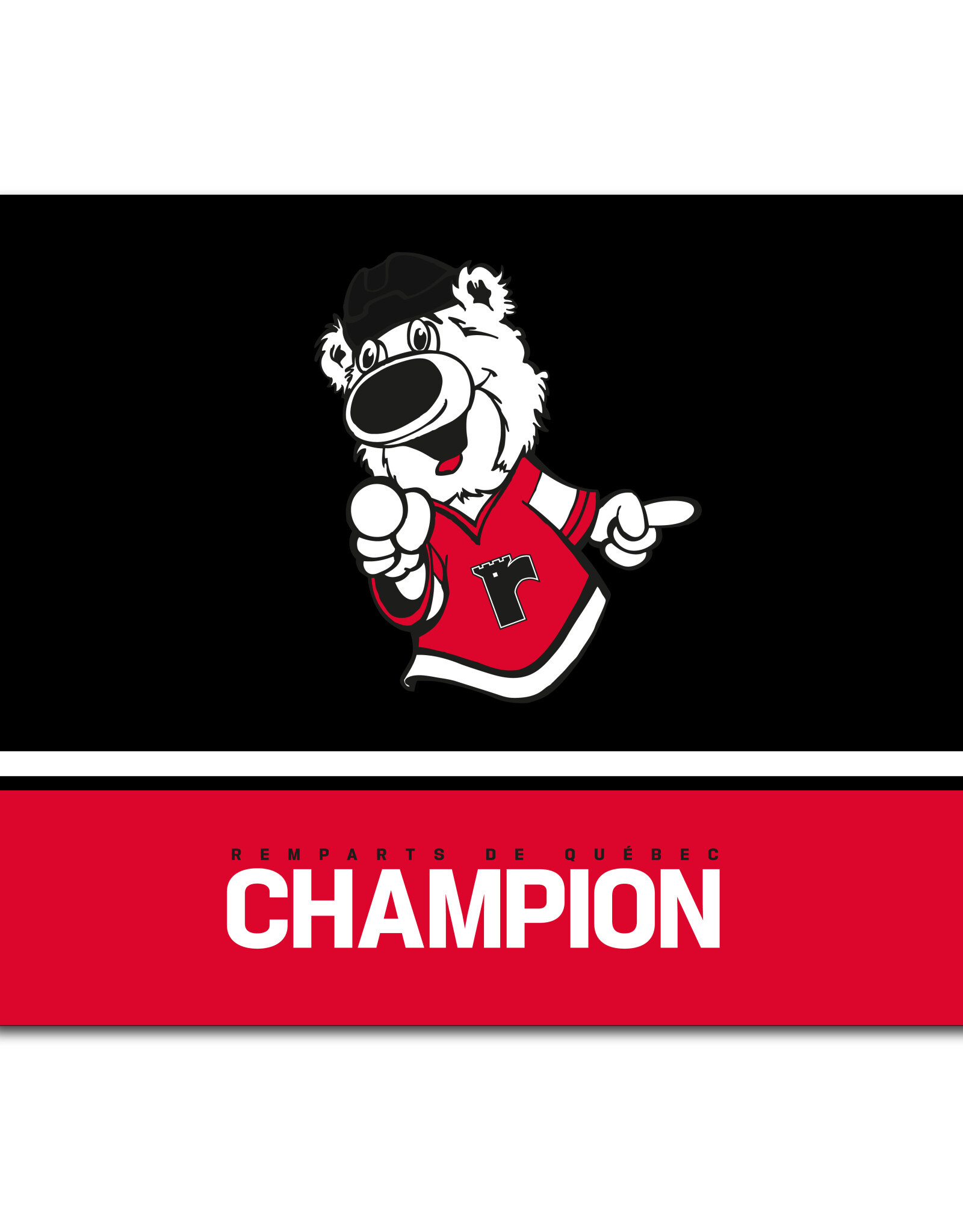 Doudou Champion 40''x30''