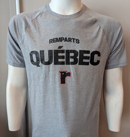 T-Shirt Gris UA