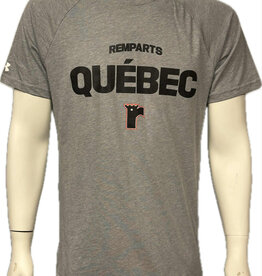 T-Shirt Gris UA