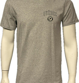 T-Shirt Gris CCM