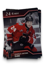 Cartes Joueurs 25-26