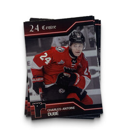 Cartes Joueurs 25-26