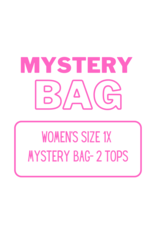 Women’s Clothing Mystery Bag 1X - 2 Tops (B)