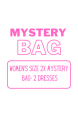 Women’s Clothing Mystery Bag 2X - 2 Dresses