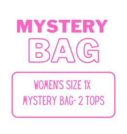 Women’s Clothing Mystery Bag 1X - 2 Tops