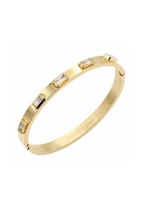 Gold Clear Stainless Steel Bangle Bracelet