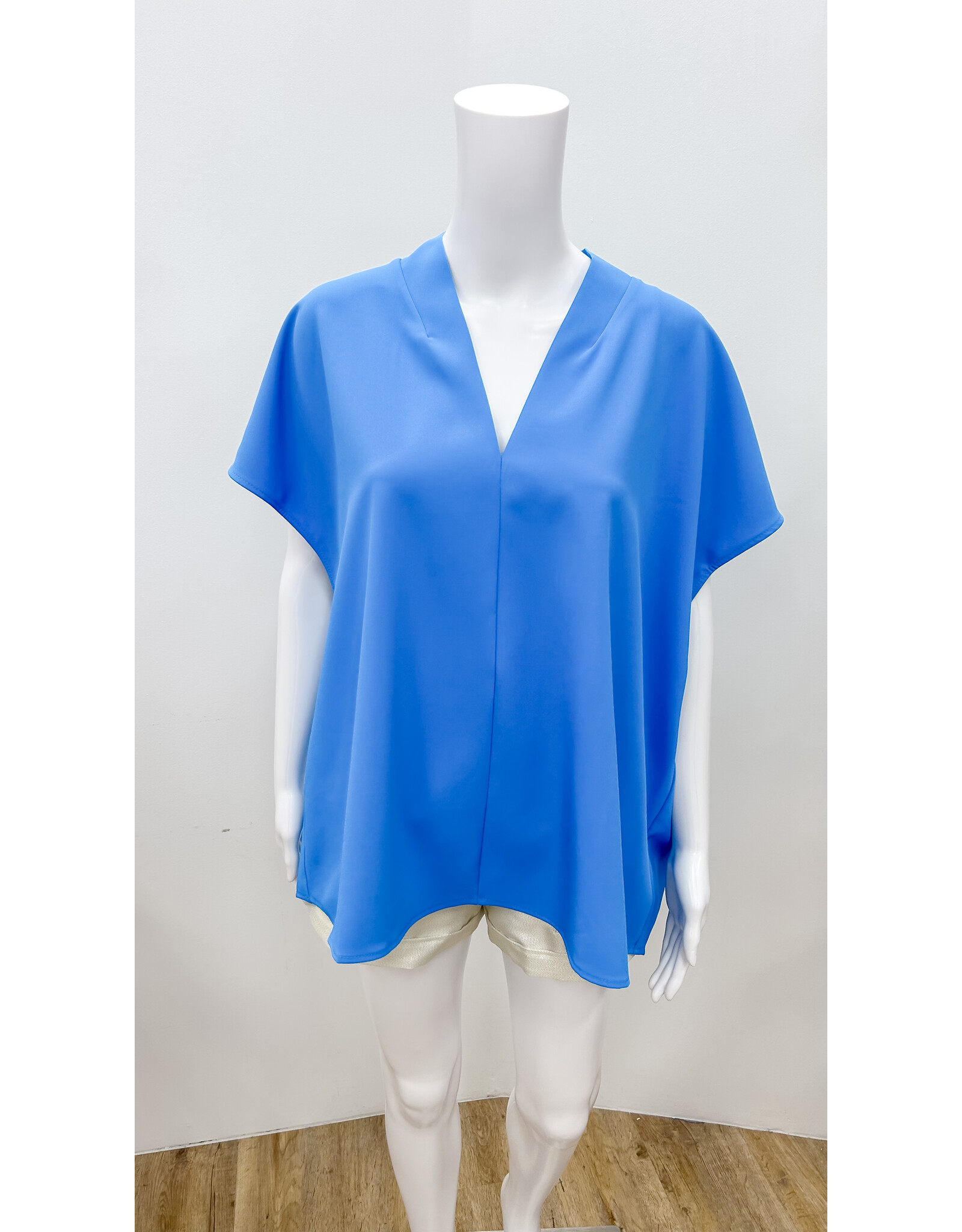 Blue V-Neck Short Sleeve Top