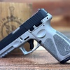 Taurus G3 T.O.R.O. 9MM 4" (1)17/ (1)15RND Pistol_Cerakote Satin Mag