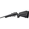 Rossi RB17 17HMR 21" BLK 5RND Rifle